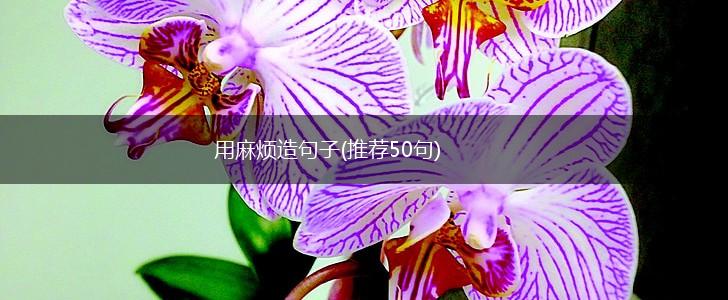 用麻烦造句子(推荐50句),第1张