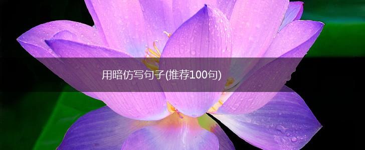 用暗仿写句子(推荐100句),第1张