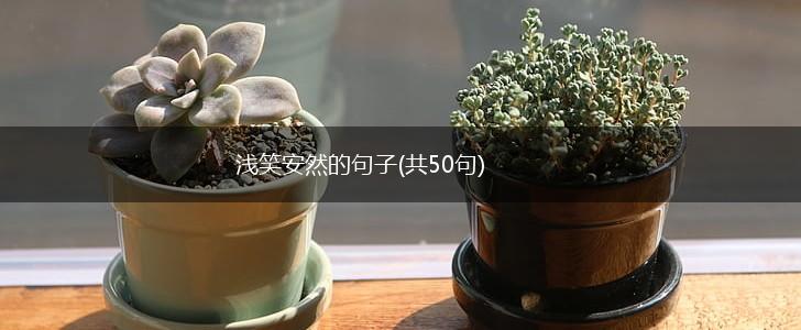 浅笑安然的句子(共50句),第1张