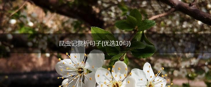 昆虫记赏析句子(优选10句),第1张