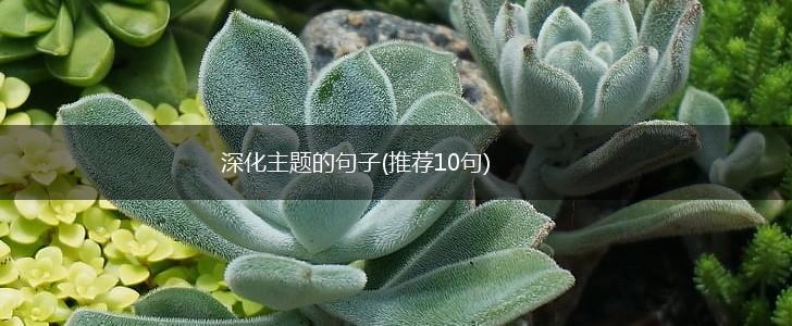 深化主题的句子(推荐10句),第1张