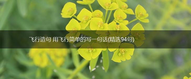 飞行造句 用飞行简单的写一句话(精选94句),第1张