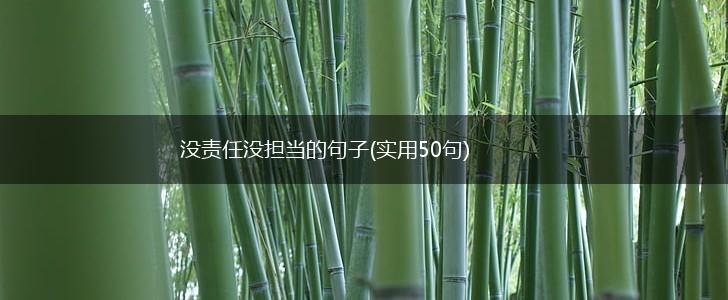 没责任没担当的句子(实用50句),第1张