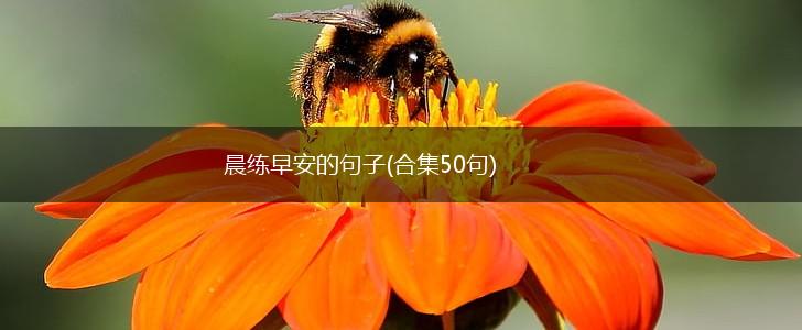 晨练早安的句子(合集50句),第1张