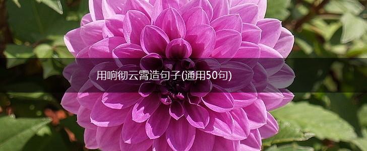 用响彻云霄造句子(通用50句),第1张