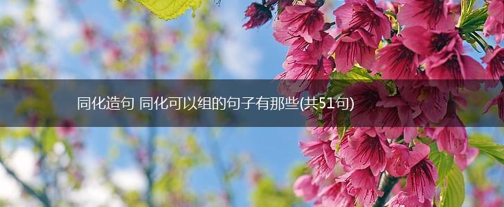 同化造句 同化可以组的句子有那些(共51句),第1张