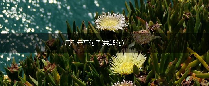 用引号写句子(共15句),第1张