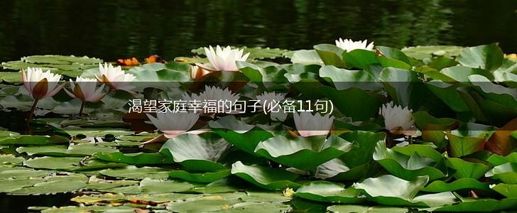 渴望家庭幸福的句子(必备11句),第1张