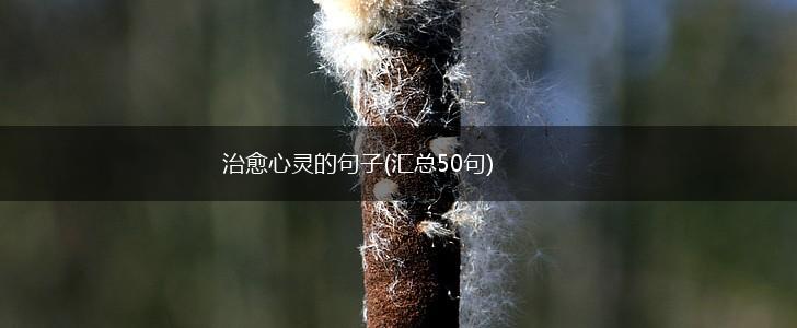 治愈心灵的句子(汇总50句),第1张