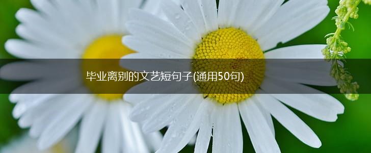 毕业离别的文艺短句子(通用50句),第1张