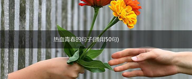 热血青春的句子(通用50句),第1张