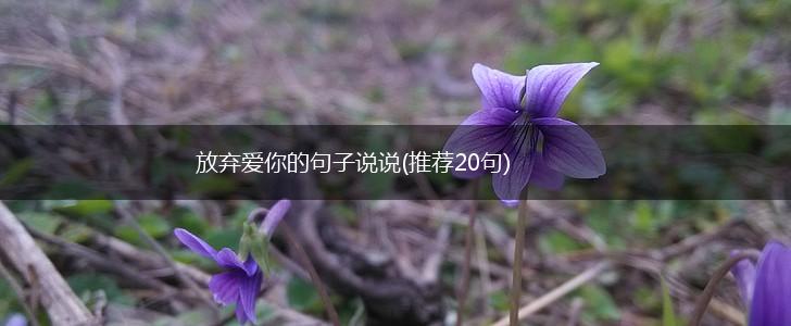 放弃爱你的句子说说(推荐20句),第1张