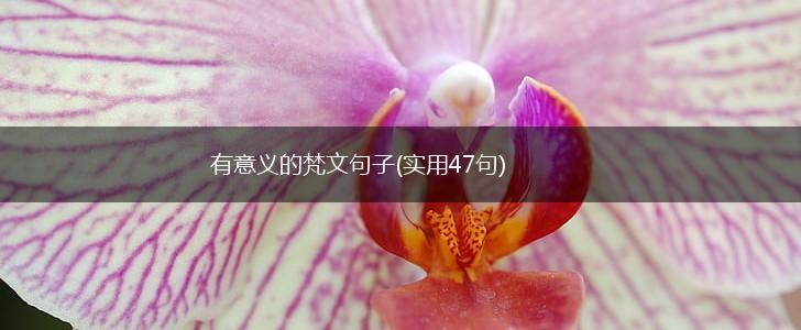 有意义的梵文句子(实用47句),第1张