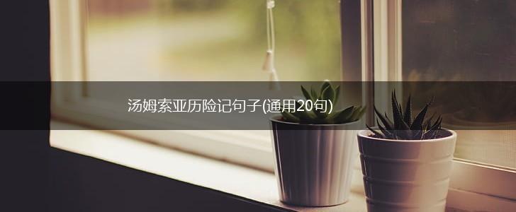 汤姆索亚历险记句子(通用20句),第1张