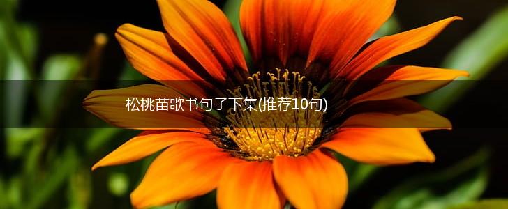 松桃苗歌书句子下集(推荐10句),第1张