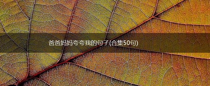 爸爸妈妈夸夸我的句子(合集50句),第1张