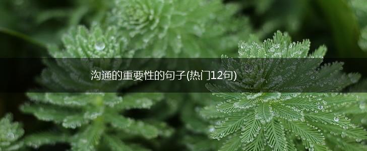 沟通的重要性的句子(热门12句),第1张