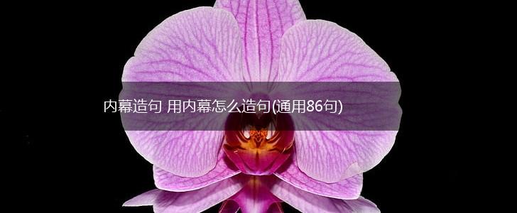 内幕造句 用内幕怎么造句(通用86句),第1张