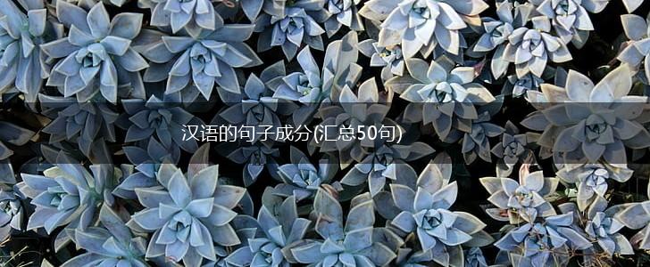 汉语的句子成分(汇总50句),第1张