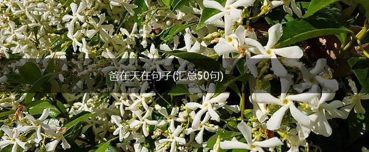 爸在天在句子(汇总50句),第1张