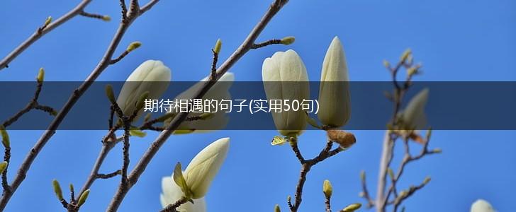 期待相遇的句子(实用50句),第1张