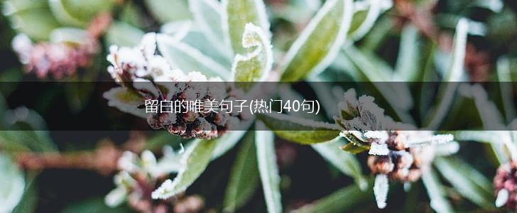 留白的唯美句子(热门40句),第1张