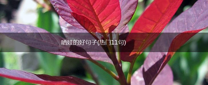 晒娃的好句子(热门11句),第1张