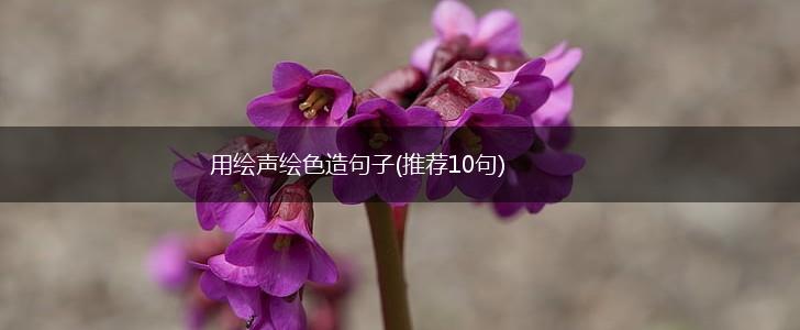 用绘声绘色造句子(推荐10句),第1张