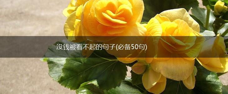 没钱被看不起的句子(必备50句),第1张
