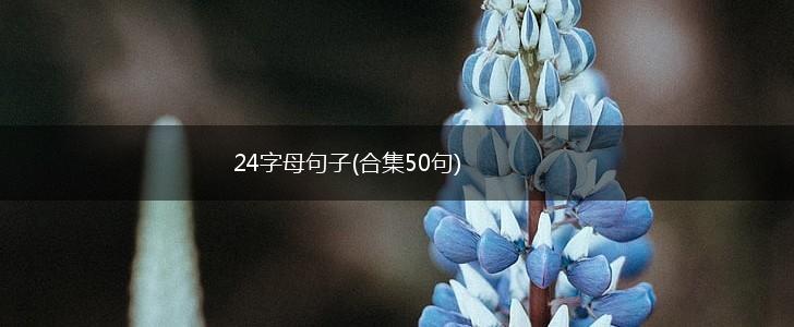 24字母句子(合集50句),第1张