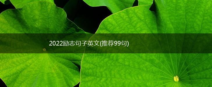 2022励志句子英文(推荐99句),第1张