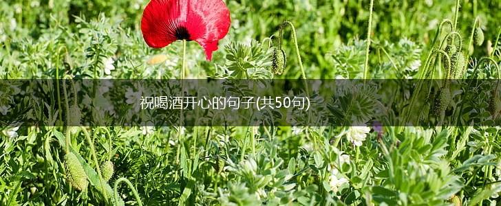 祝喝酒开心的句子(共50句),第1张