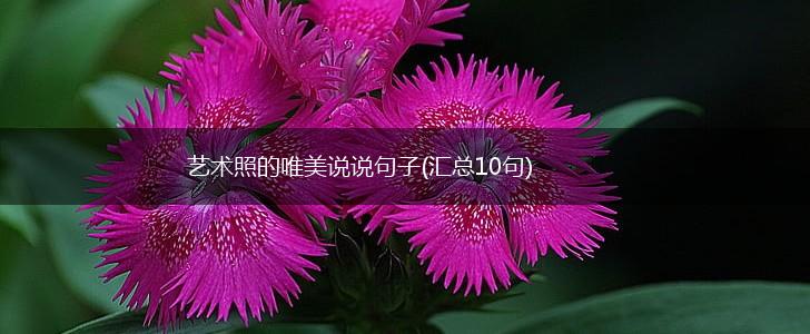 艺术照的唯美说说句子(汇总10句),第1张