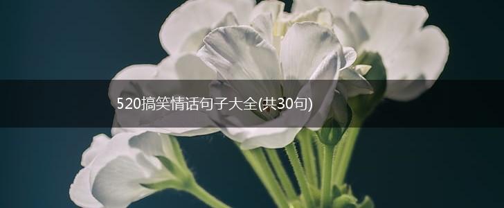 520搞笑情话句子大全(共30句),第1张