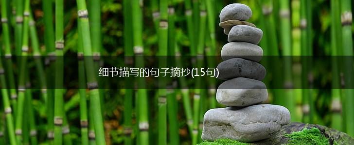 细节描写的句子摘抄(15句),第1张