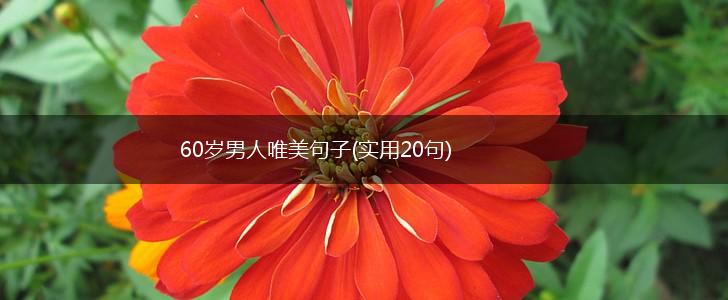 60岁男人唯美句子(实用20句),第1张