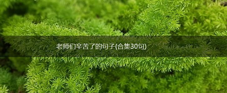 老师们辛苦了的句子(合集30句),第1张