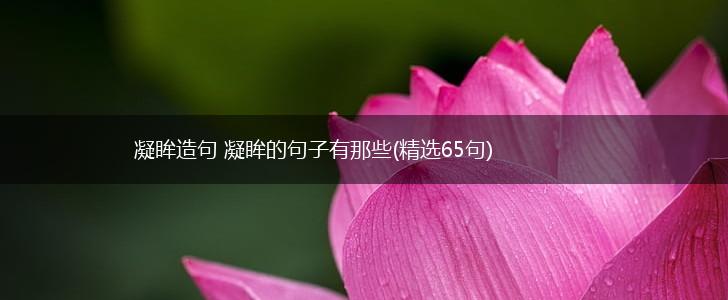 凝眸造句 凝眸的句子有那些(精选65句),第1张