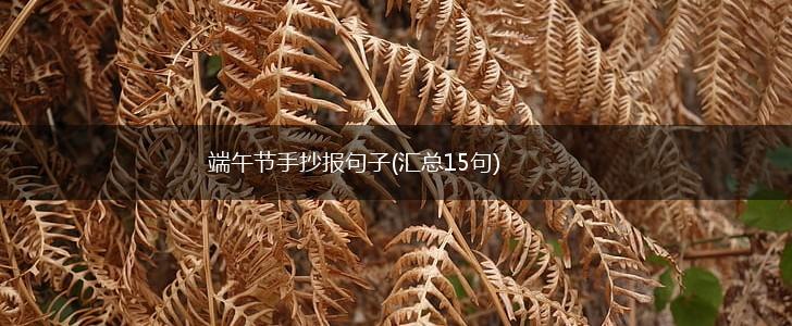 端午节手抄报句子(汇总15句),第1张