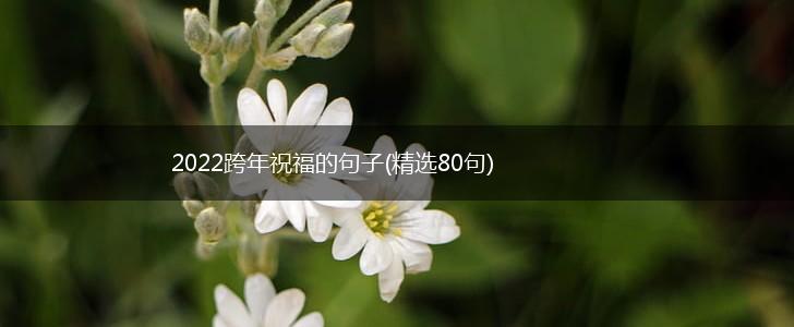 2022跨年祝福的句子(精选80句),第1张