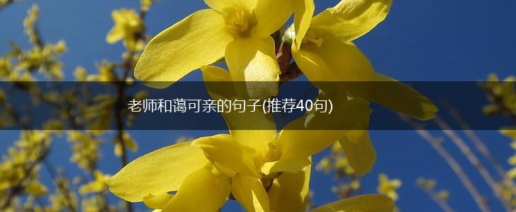 老师和蔼可亲的句子(推荐40句),第1张
