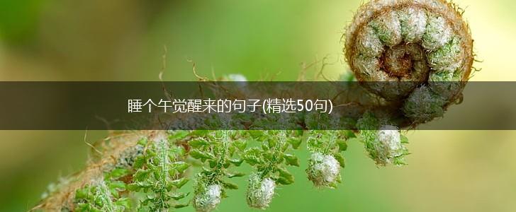 睡个午觉醒来的句子(精选50句),第1张
