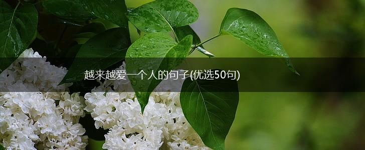越来越爱一个人的句子(优选50句),第1张