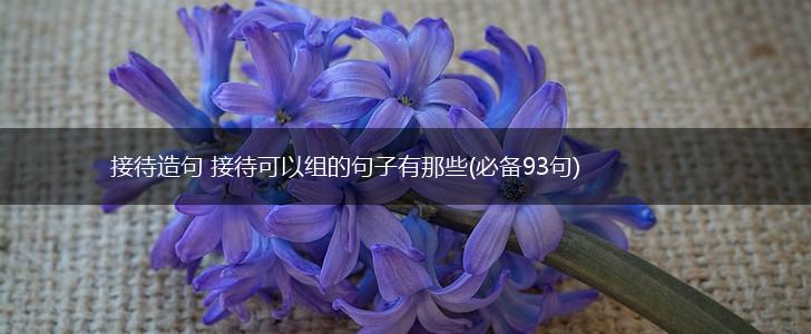 接待造句 接待可以组的句子有那些(必备93句),第1张