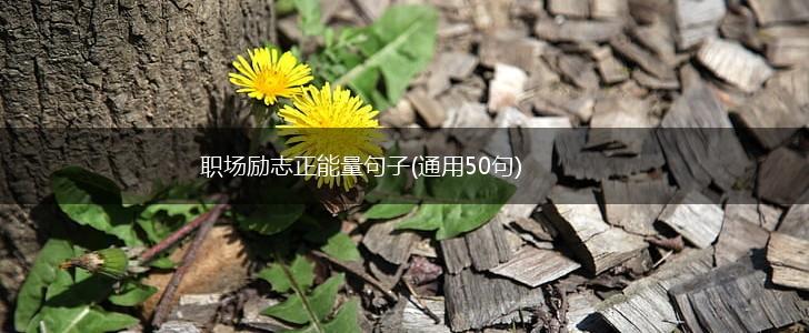 职场励志正能量句子(通用50句),第1张