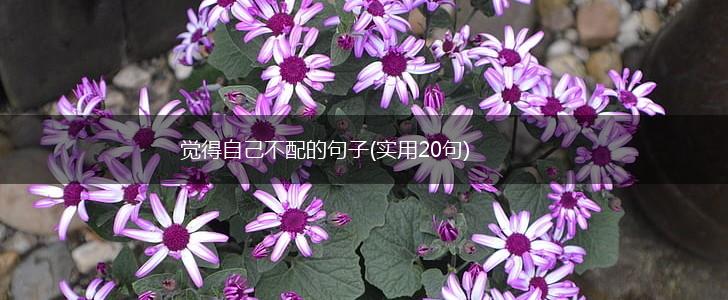 觉得自己不配的句子(实用20句),第1张