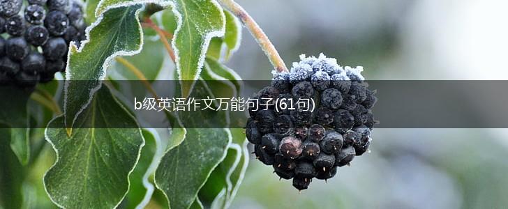 b级英语作文万能句子(61句),第1张