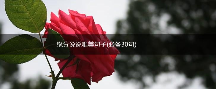 缘分说说唯美句子(必备30句),第1张