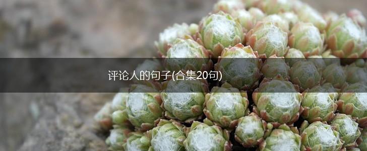 评论人的句子(合集20句),第1张