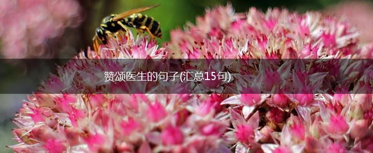 赞颂医生的句子(汇总15句),第1张